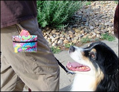 Bits and Pieces: Dog Treat Bag Tutorial